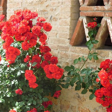 Fattoria Agriturismo Nerbona Casole dʼElsa المظهر الخارجي الصورة