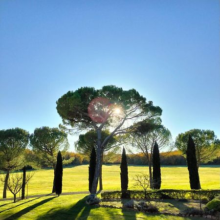 Fattoria Agriturismo Nerbona Casole dʼElsa المظهر الخارجي الصورة