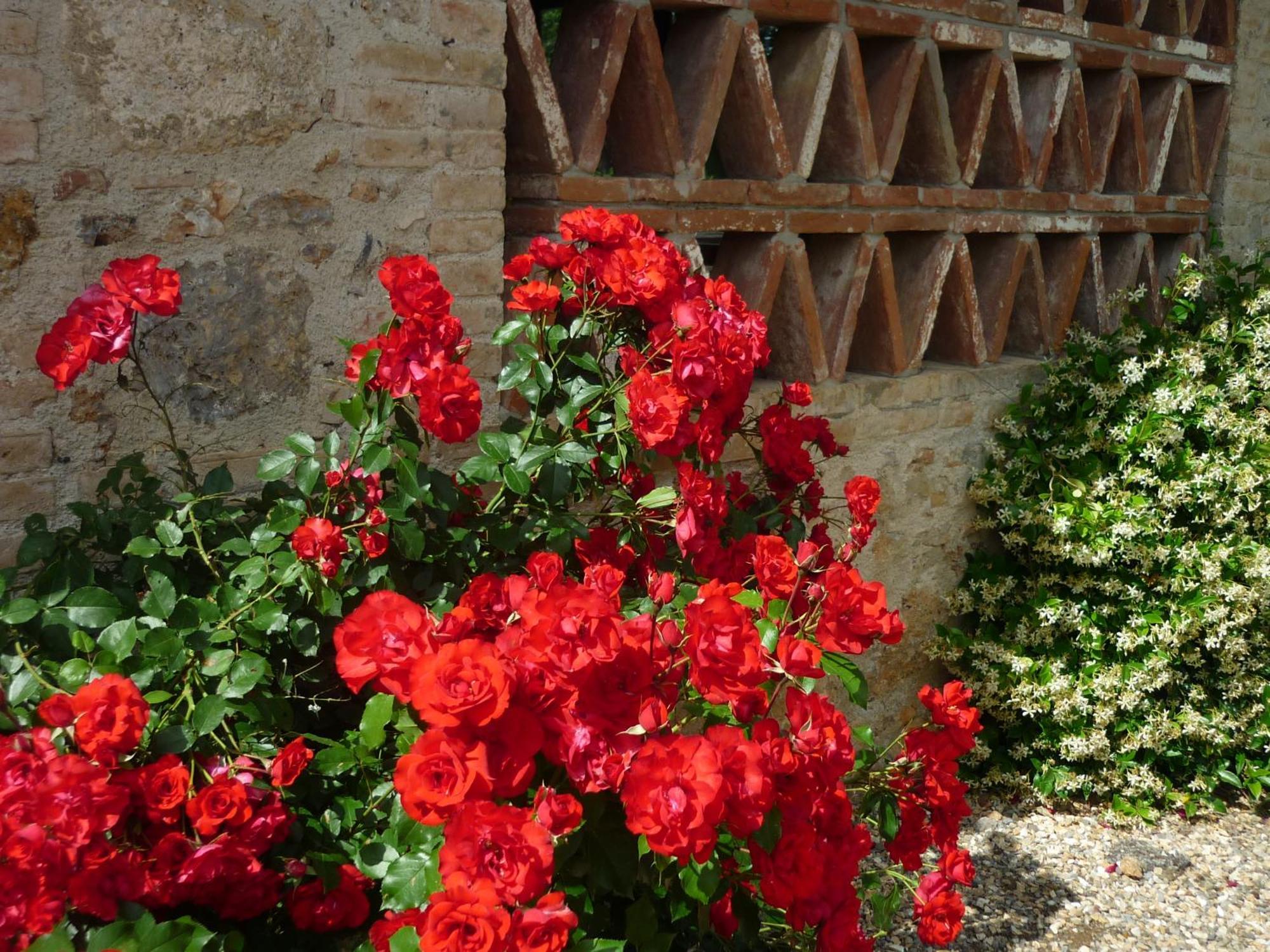 فيلا Casole dʼElsaفي Fattoria Agriturismo Nerbona المظهر الخارجي الصورة