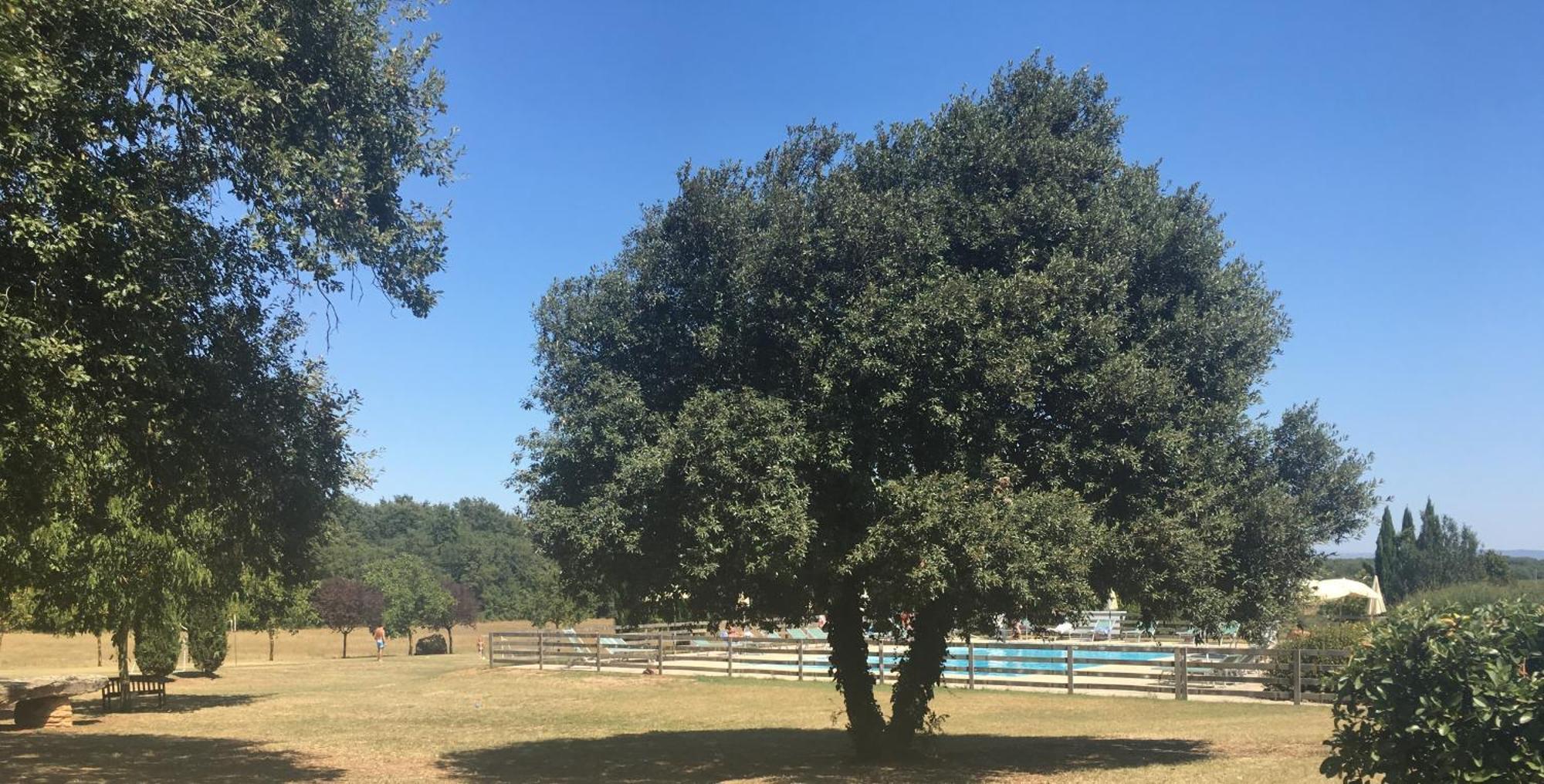 Fattoria Agriturismo Nerbona Casole dʼElsa المظهر الخارجي الصورة