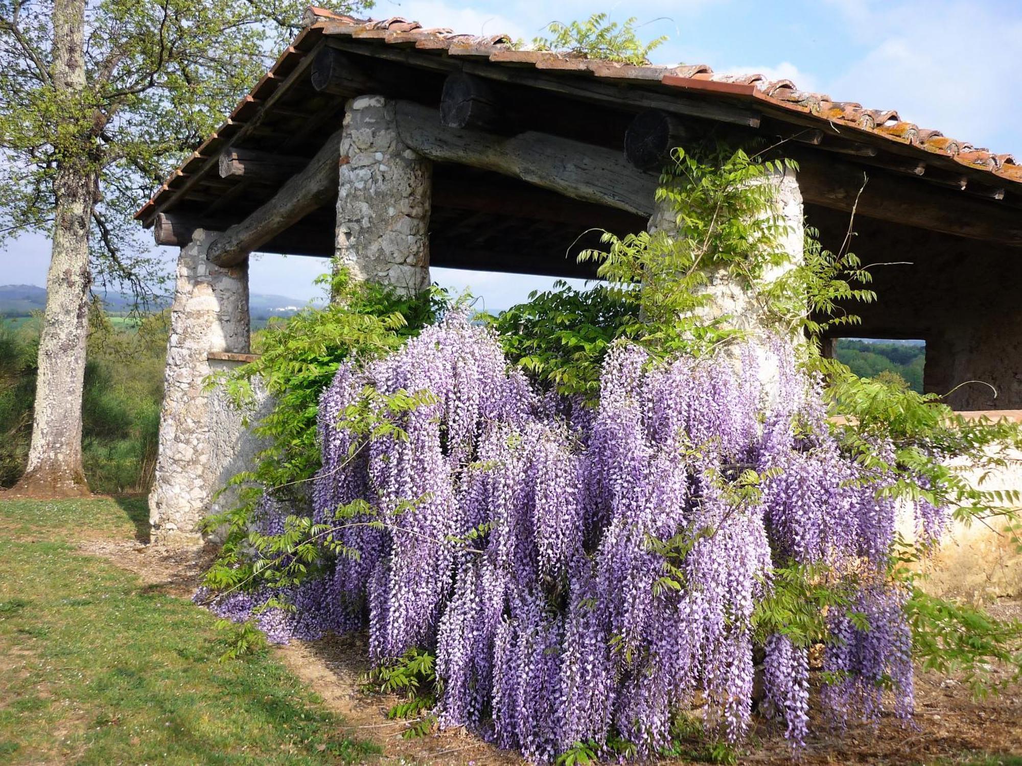 فيلا Casole dʼElsaفي Fattoria Agriturismo Nerbona المظهر الخارجي الصورة