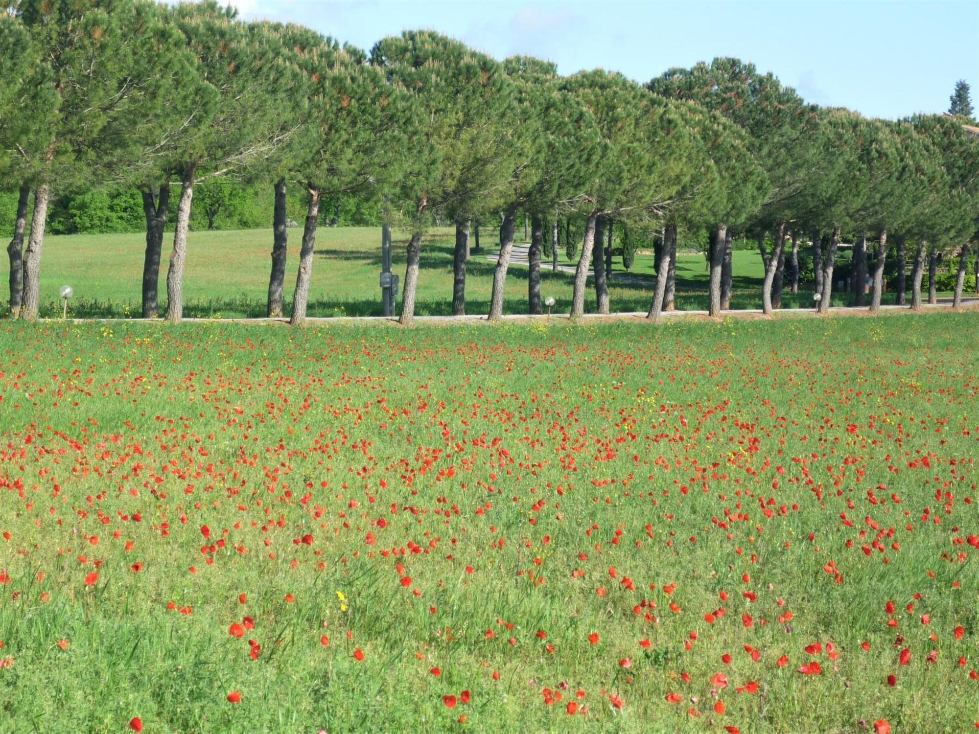 فيلا Casole dʼElsaفي Fattoria Agriturismo Nerbona المظهر الخارجي الصورة