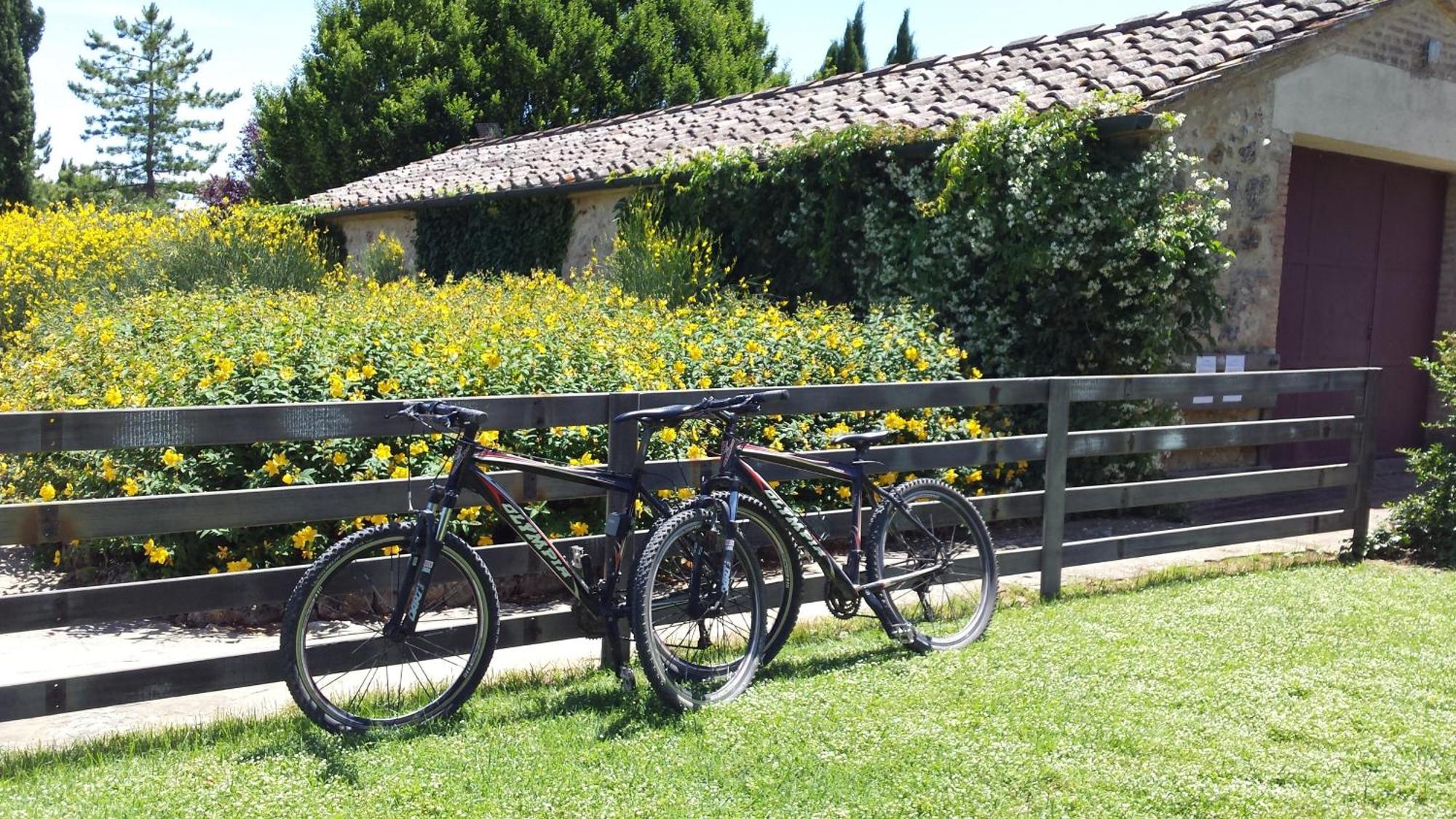 Fattoria Agriturismo Nerbona Casole dʼElsa المظهر الخارجي الصورة