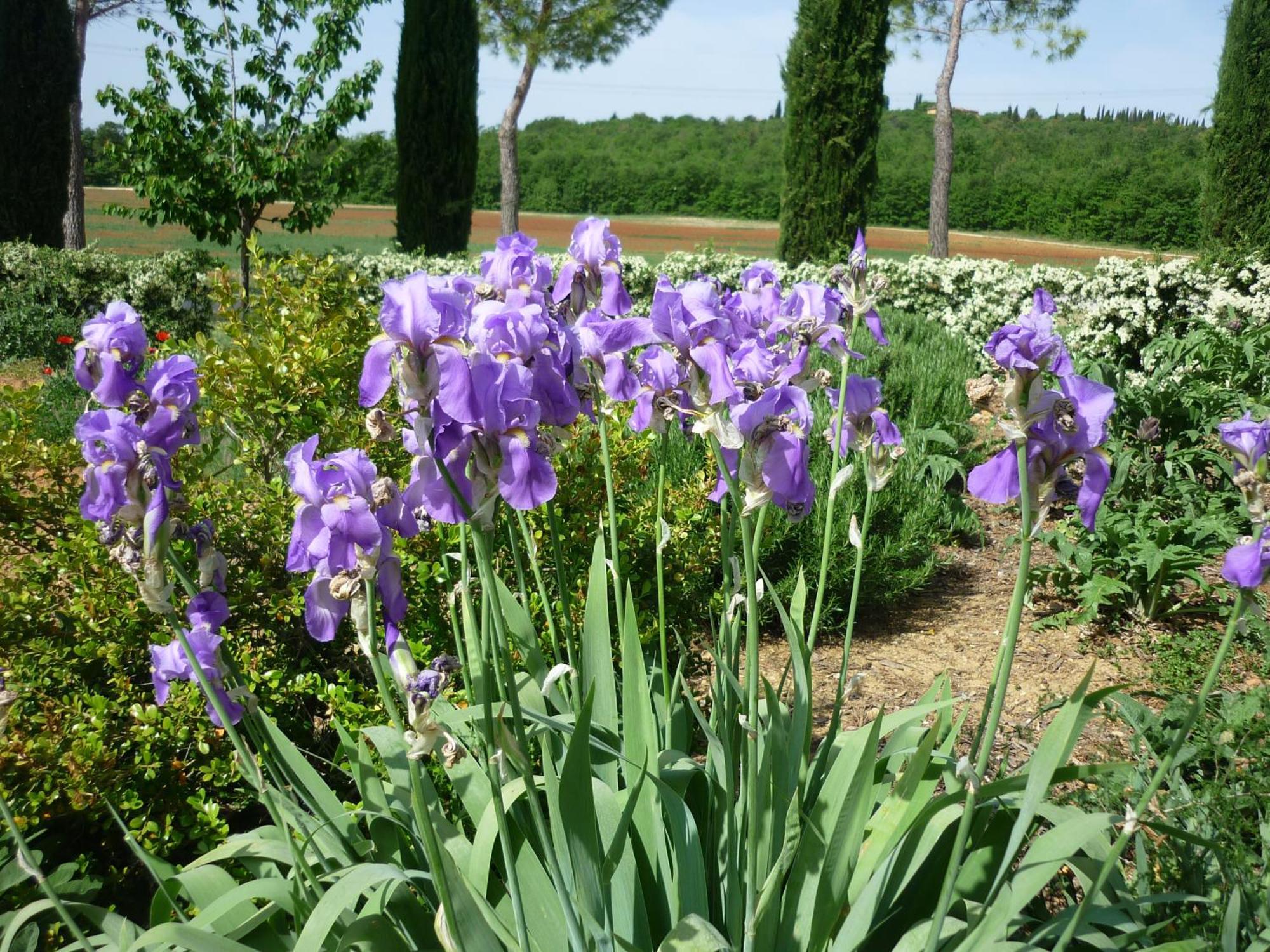Fattoria Agriturismo Nerbona Casole dʼElsa المظهر الخارجي الصورة