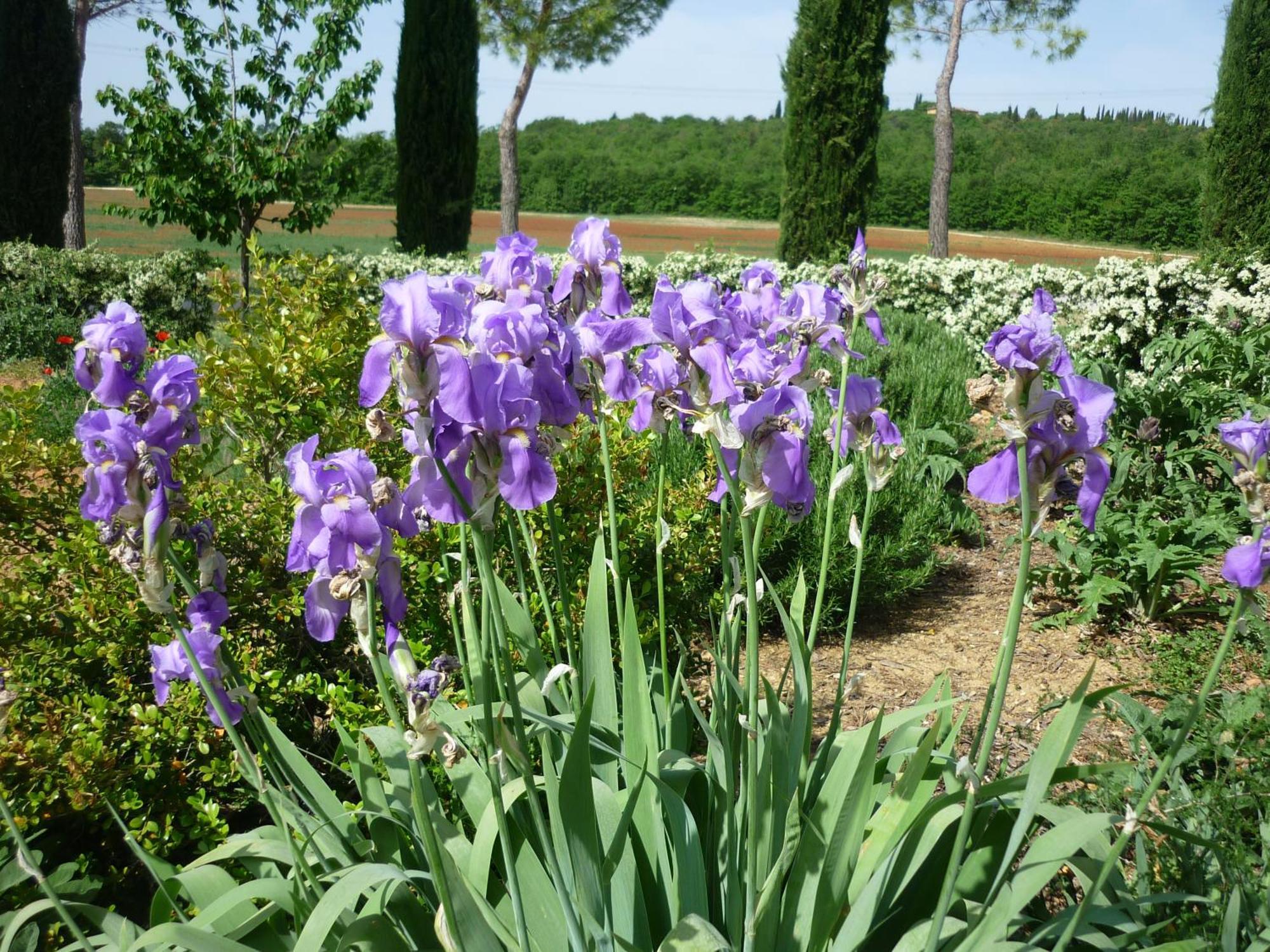 فيلا Casole dʼElsaفي Fattoria Agriturismo Nerbona المظهر الخارجي الصورة